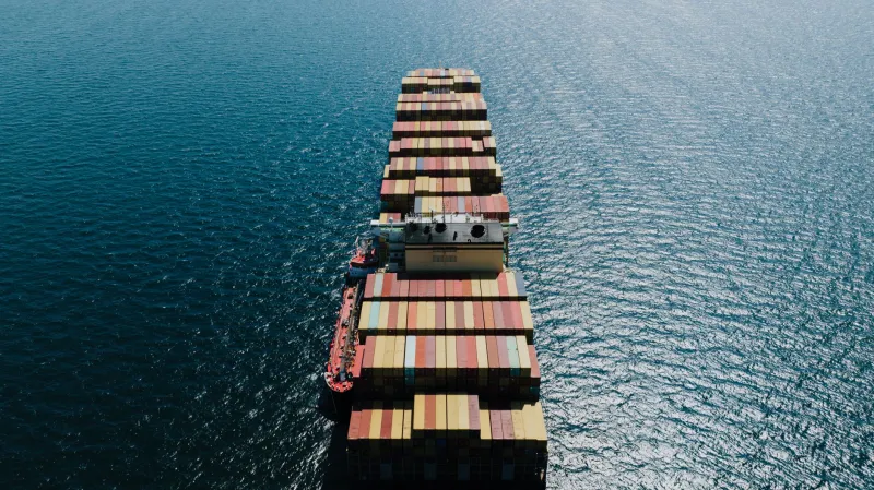 Flown In and Certified Organic: The Hidden Carbon Bill Behind Your Imported Produce