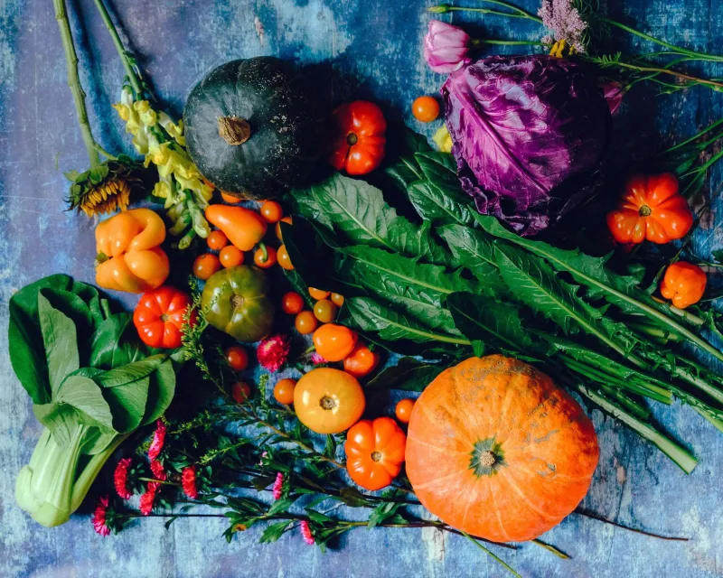 Tiny Bugs, Big Problems: How What You Eat Is Quietly Reshaping Your Gut