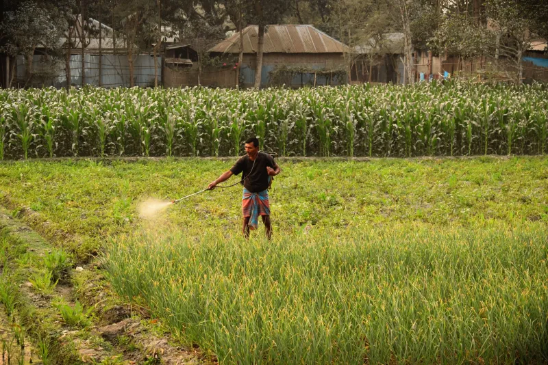 Not All Natural Is Safe: The Surprising Truth About Organic-Approved Pesticides