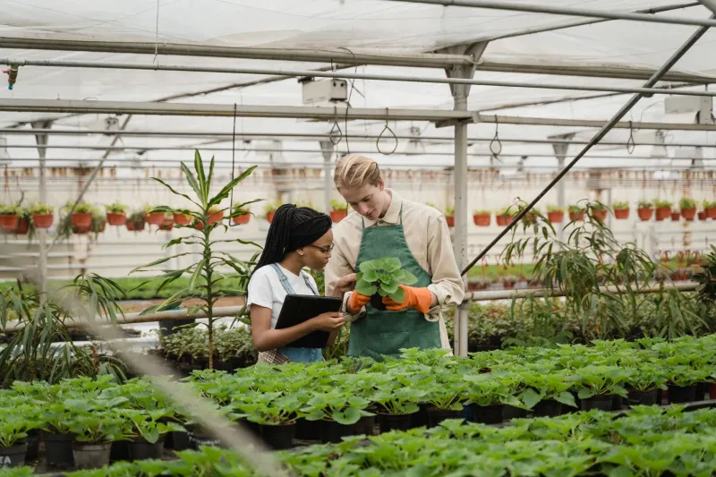 Your Organic Certification Has an Expiration Date — And the Industry Hopes You Never Find Out