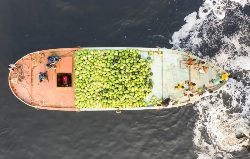 Clean Label, Dirty Miles: The Uncomfortable Truth About Where Your Organic Food Actually Comes From