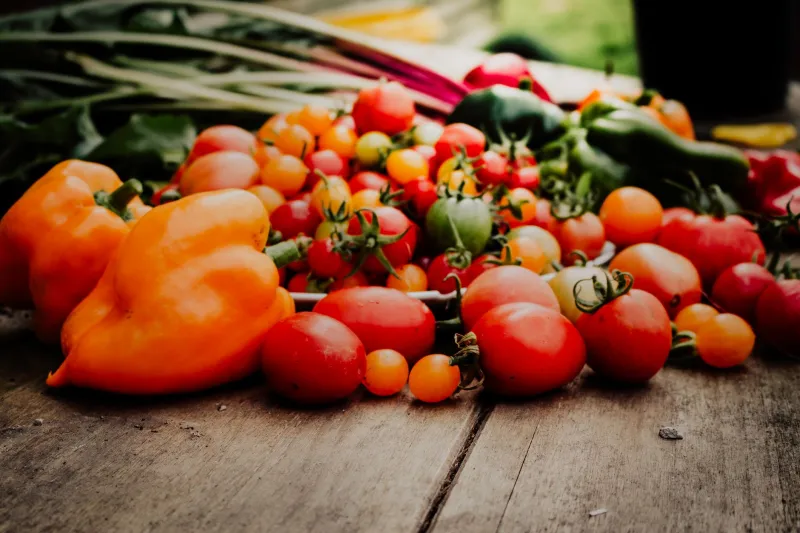 Certified Organic, Still Contaminated: The Residue Problem Nobody in the Industry Wants to Talk About